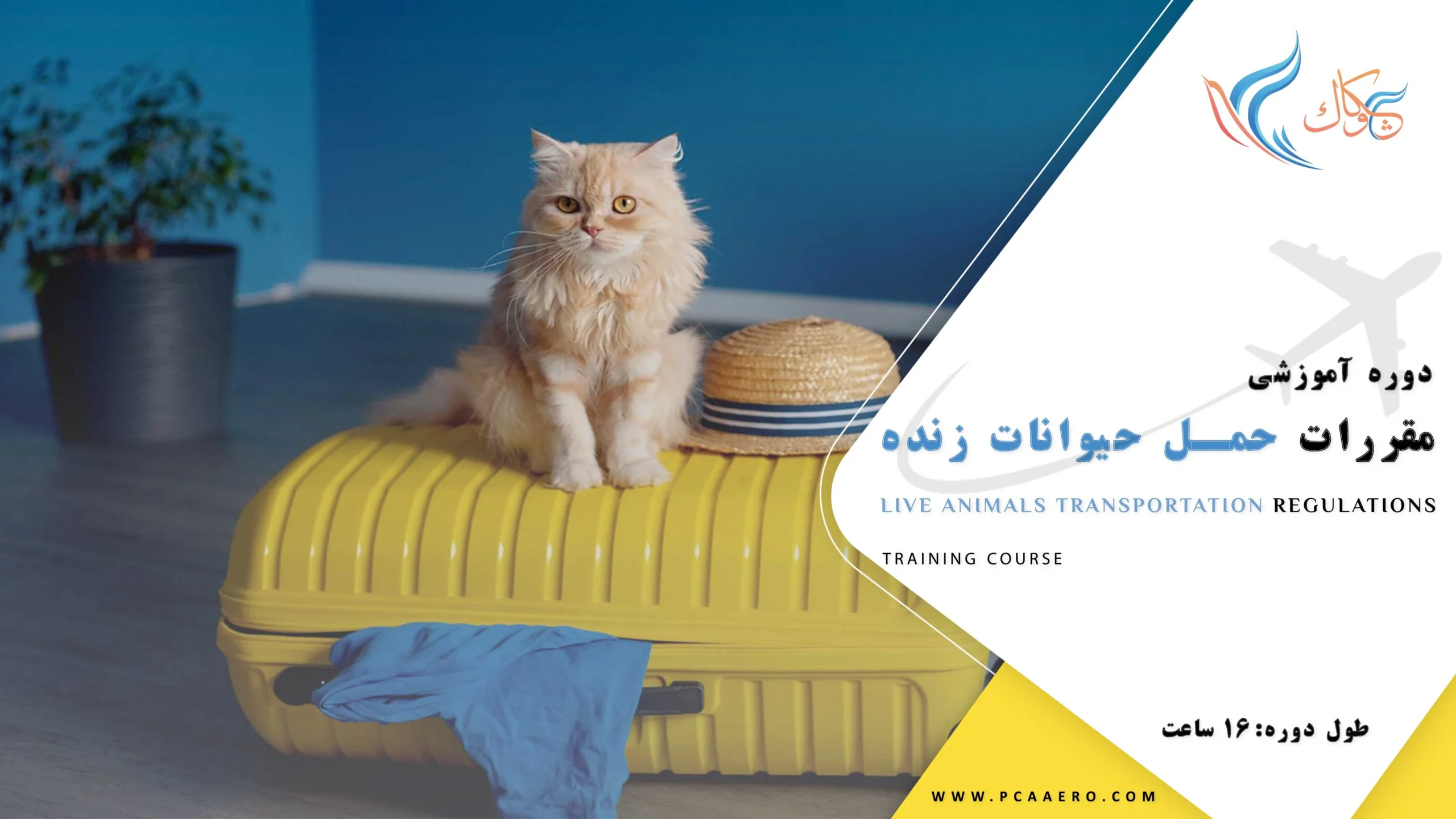 دوره آموزشی مقررات حمل حیوانات زنده در آکادمی چکاوک دوره آموزشی مقررات حمل حیوانات زنده