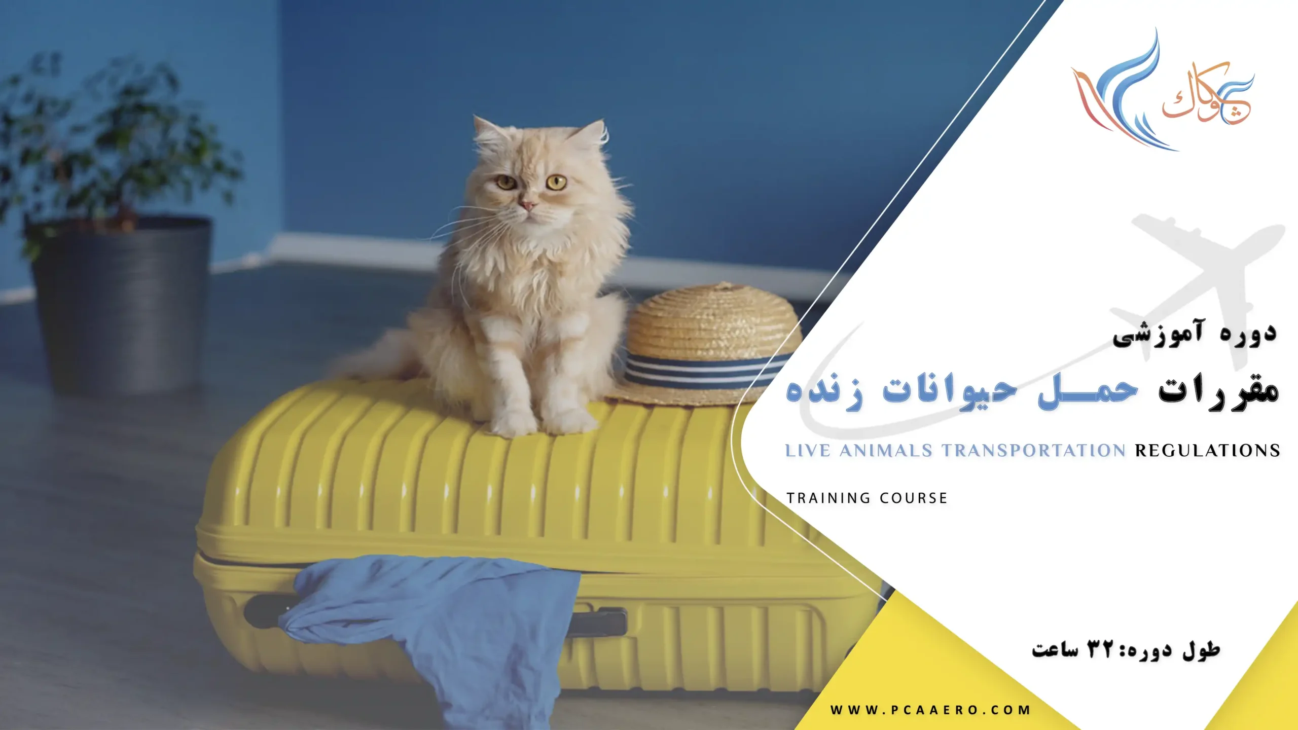 دوره اموزشی مقررات حمل حیوانات زنده در اکادمی چکاوک دوره اموزشی مقررات حمل حیوانات زنده